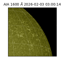 saia - 2026-02-03T03:00:14.126000