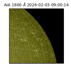 saia - 2026-02-03T09:00:14.118000