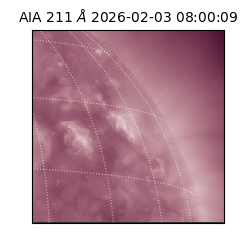 saia - 2026-02-03T08:00:09.631000