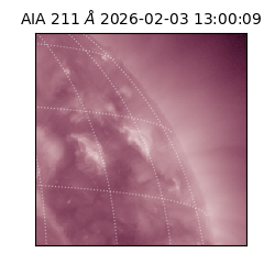 saia - 2026-02-03T13:00:09.626000