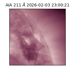 saia - 2026-02-03T23:00:21.631000