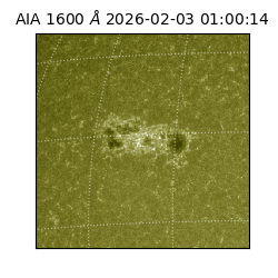 saia - 2026-02-03T01:00:14.126000