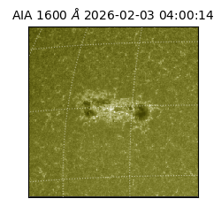 saia - 2026-02-03T04:00:14.126000