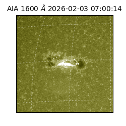 saia - 2026-02-03T07:00:14.124000