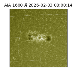 saia - 2026-02-03T08:00:14.126000