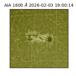 saia - 2026-02-03T19:00:14.126000