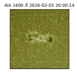 saia - 2026-02-03T20:00:14.126000