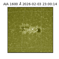 saia - 2026-02-03T23:00:14.126000