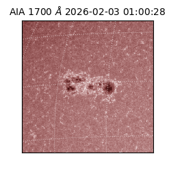 saia - 2026-02-03T01:00:28.717000