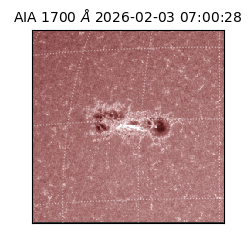 saia - 2026-02-03T07:00:28.721000