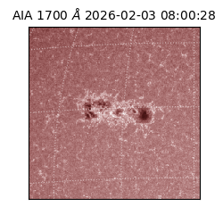 saia - 2026-02-03T08:00:28.710000