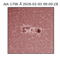 saia - 2026-02-03T09:00:28.717000