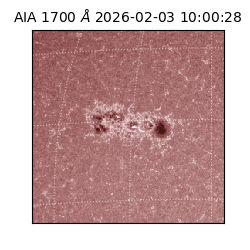 saia - 2026-02-03T10:00:28.717000