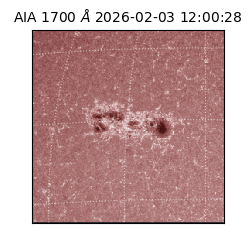 saia - 2026-02-03T12:00:28.721000