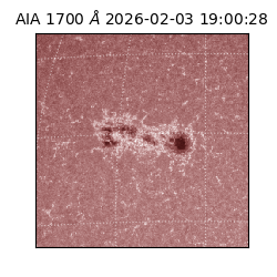 saia - 2026-02-03T19:00:28.717000