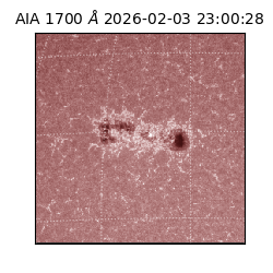 saia - 2026-02-03T23:00:28.717000