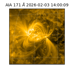 saia - 2026-02-03T14:00:09.342000