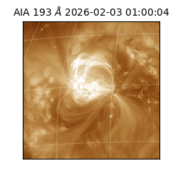 saia - 2026-02-03T01:00:04.843000
