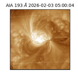 saia - 2026-02-03T05:00:04.838000