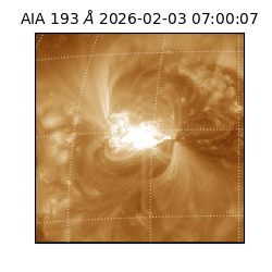 saia - 2026-02-03T07:00:07.033000