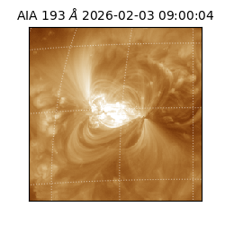 saia - 2026-02-03T09:00:04.835000