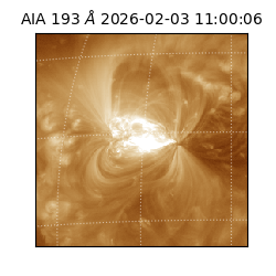 saia - 2026-02-03T11:00:06.232000