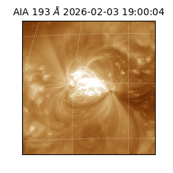 saia - 2026-02-03T19:00:04.843000