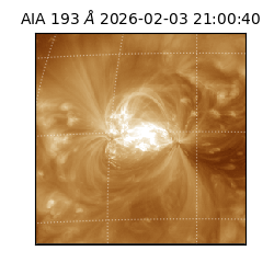 saia - 2026-02-03T21:00:40.838000