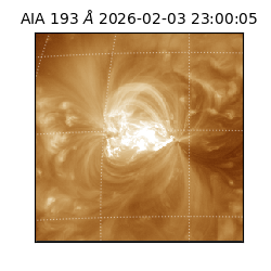 saia - 2026-02-03T23:00:05.820000