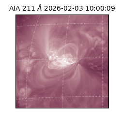 saia - 2026-02-03T10:00:09.632000