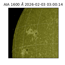 saia - 2026-02-03T03:00:14.126000