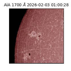 saia - 2026-02-03T01:00:28.717000