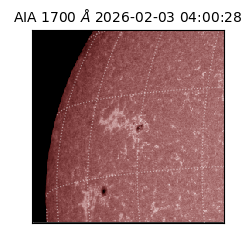 saia - 2026-02-03T04:00:28.717000