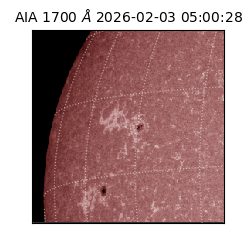 saia - 2026-02-03T05:00:28.710000