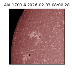 saia - 2026-02-03T08:00:28.710000