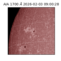 saia - 2026-02-03T09:00:28.717000