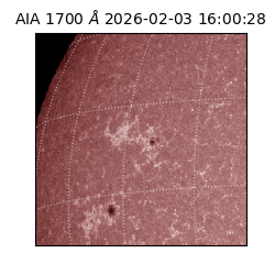 saia - 2026-02-03T16:00:28.717000