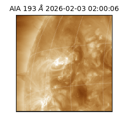 saia - 2026-02-03T02:00:06.431000