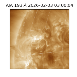 saia - 2026-02-03T03:00:04.843000