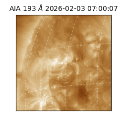 saia - 2026-02-03T07:00:07.033000