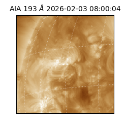 saia - 2026-02-03T08:00:04.843000