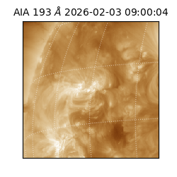 saia - 2026-02-03T09:00:04.835000