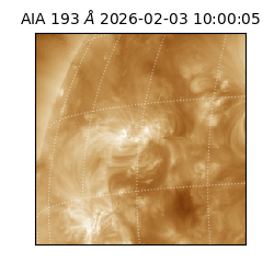 saia - 2026-02-03T10:00:05.916000