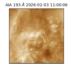 saia - 2026-02-03T11:00:06.232000