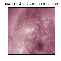 saia - 2026-02-03T03:00:09.633000