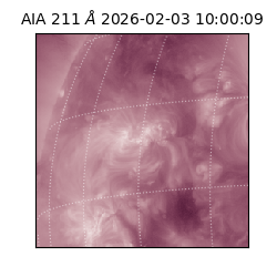 saia - 2026-02-03T10:00:09.632000