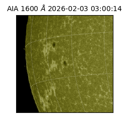 saia - 2026-02-03T03:00:14.126000