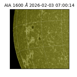 saia - 2026-02-03T07:00:14.124000