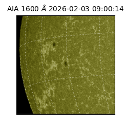 saia - 2026-02-03T09:00:14.118000