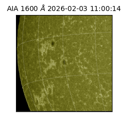 saia - 2026-02-03T11:00:14.126000